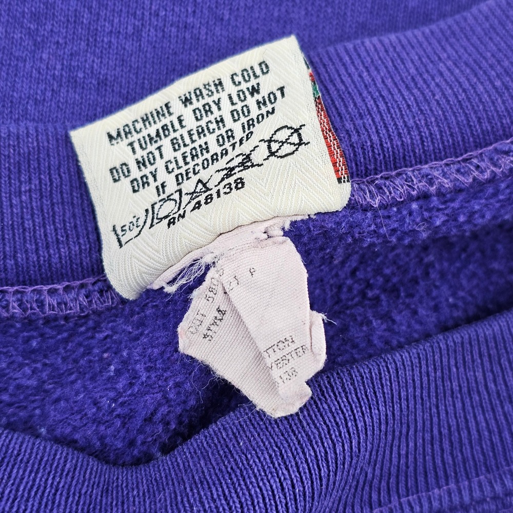 Nutmeg Charlotte Hornets Sweatshirt Mens Large Purple Vintage 90s NBA Crewneck - Picture 7 of 10